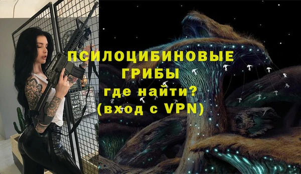 спиды Белокуриха