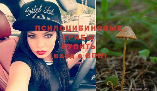 спиды Белокуриха