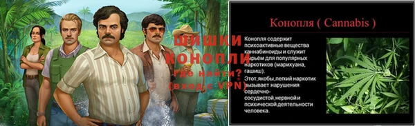 спиды Белокуриха